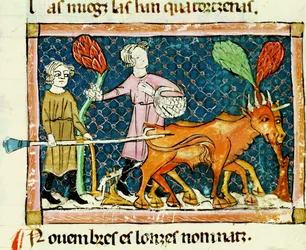 Fol.59r Octubre: Arando